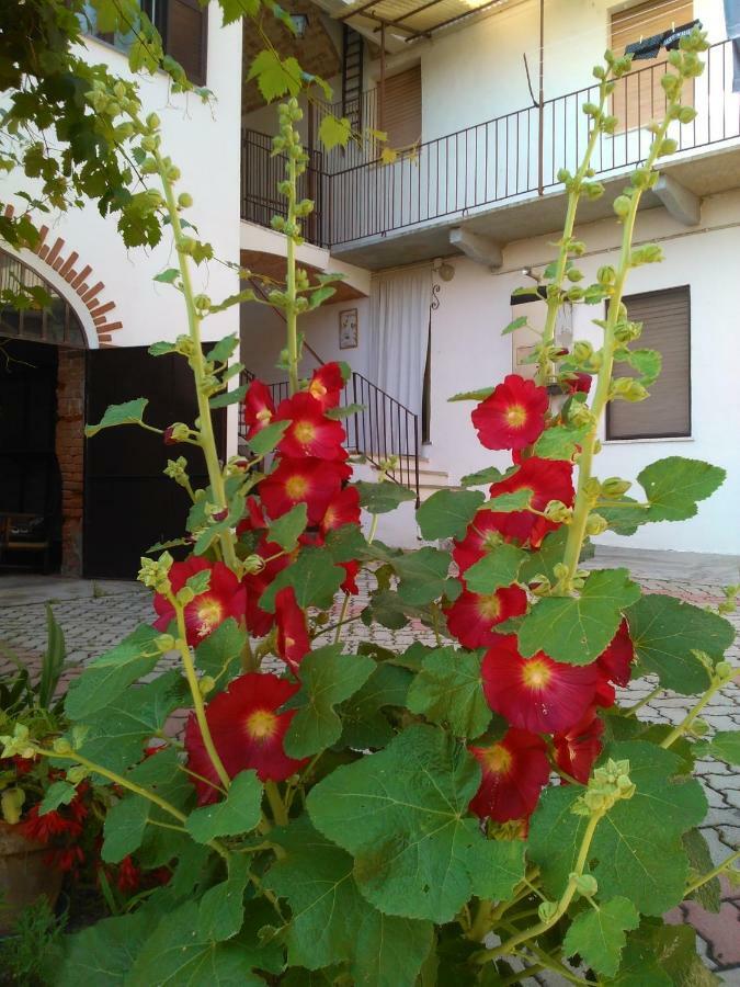 Gasthaus Casa Aromi Ed Arte Asti Exterior foto